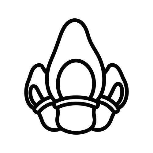 Hand gesture with middle finger raised Vector Image