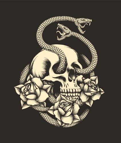 Skull with Snakes and Roses Vector Image