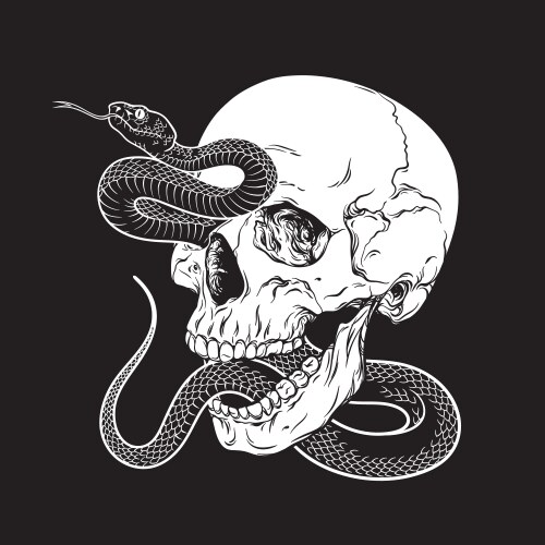 human skull with poison snake isolated flash vector