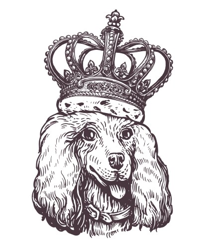 Royal Poodle Portrait with Crown Vector Image
