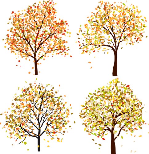 Barbells autumn composition icon with fall leaves – Royalty-Free Vector ...