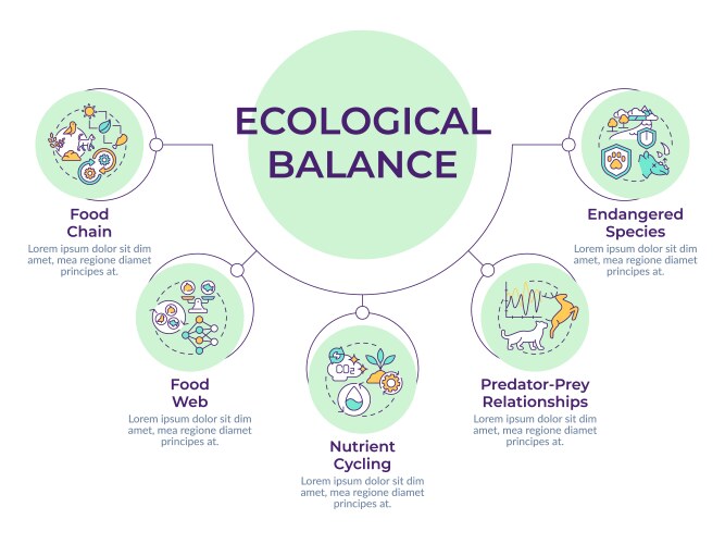 Food Chain Diagram Vector Images Over 160