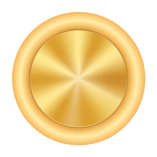 Silver metal textured button Royalty Free Vector Image