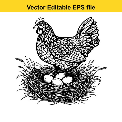 Black and White Chicken Nest Illustration Vector Image