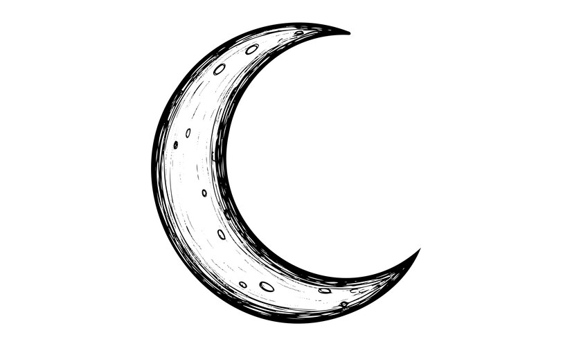 Detailed Black and White Crescent Moon Vector Image