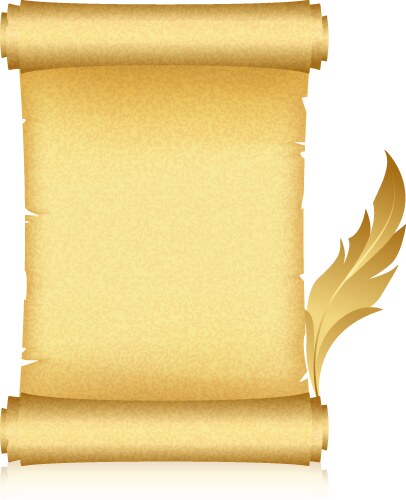 gold scroll feather vector image