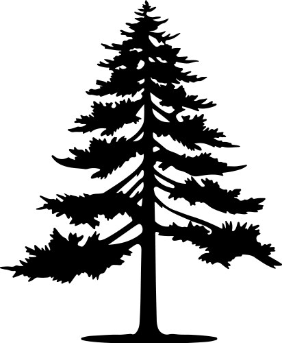 Pine tree silhouette white background Royalty Free Vector