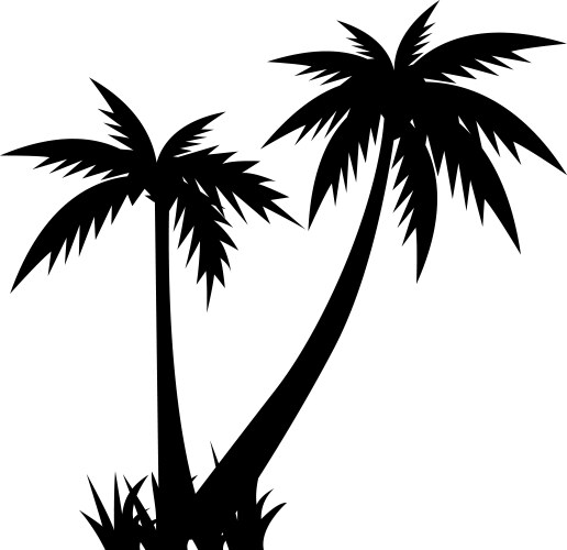 Tropical Palm Tree Silhouette Vector Image