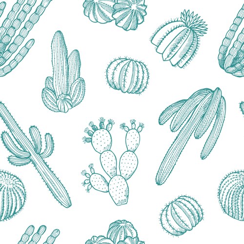 Hand drawn wild cacti plants pattern Royalty Free Vector