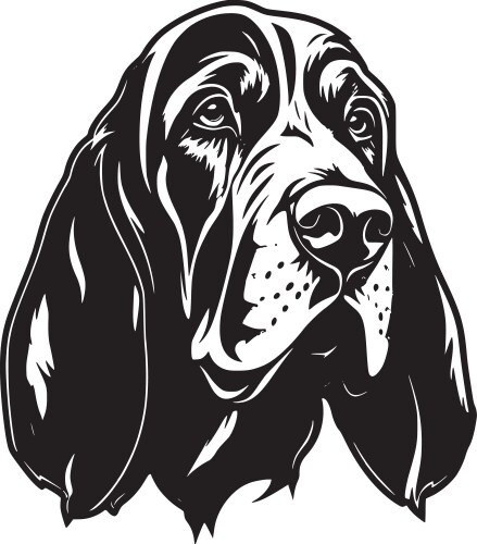 Elegant Bloodhound Portrait Vector Image