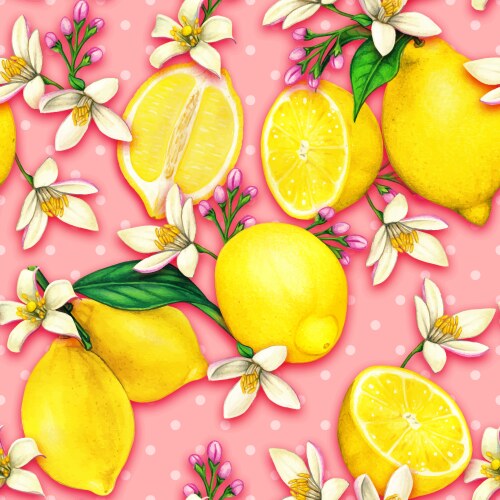 Lemons and oranges Royalty Free Vector Image - VectorStock