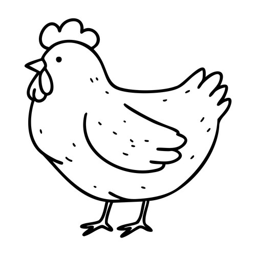 Cute Chicken Outline Drawing Vector Image
