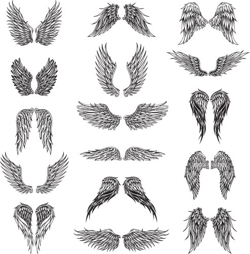 Collection of wings Royalty Free Vector Image - VectorStock
