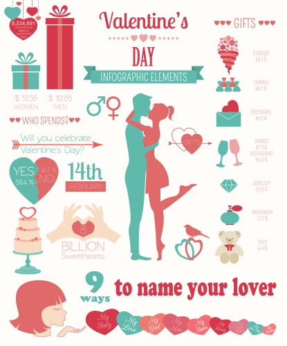 Valentines day infographic flat style love graphic vector image