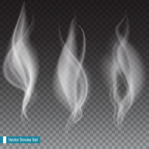 White smoke waves transparent vector image