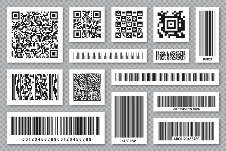 set product barcodes and qr codes vector image