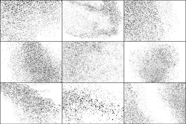 Dark rough noise particles set elements vector image