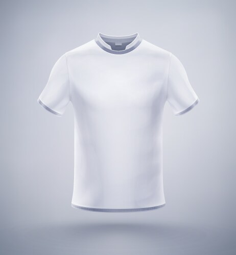 Mens t-shirt vector image