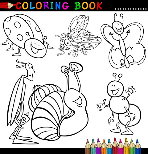 insects and bugs for coloring book or page vector image