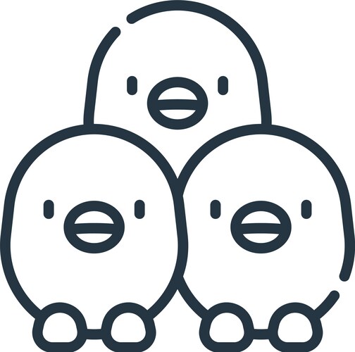 Chickens icon isolated on white background Vector Image