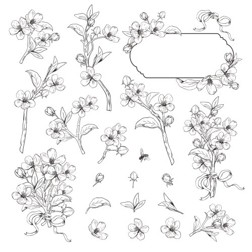 Hand drawn outline floral elements set collection Vector Image