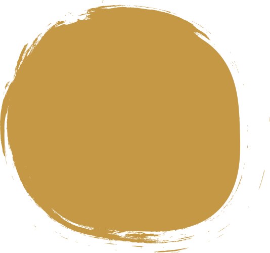 Brush effect abstract circle shape Royalty Free Vector Image
