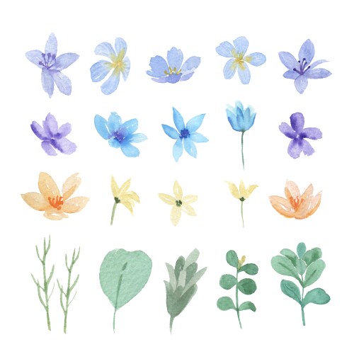 Floral and leaves watercolor elements set hand vector image