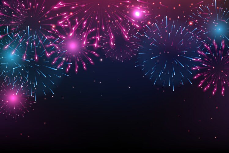 Bright colorful fireworks on night background vector image