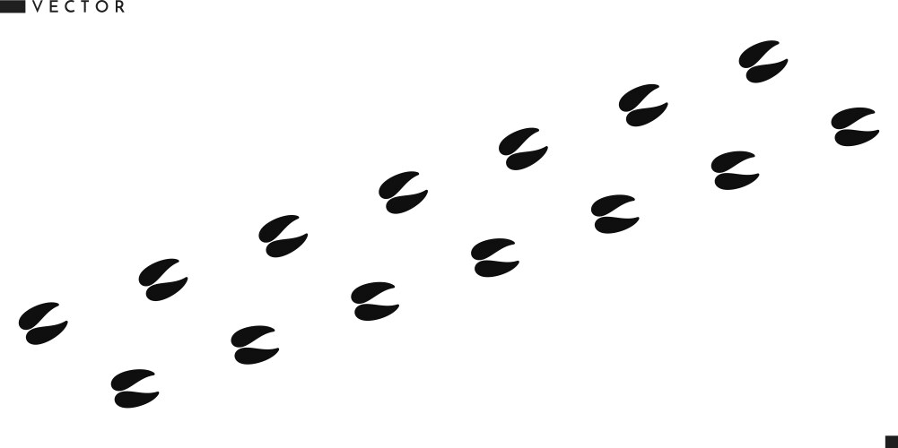 Goat footprint Vector Image