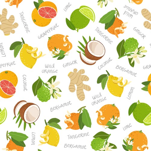 Citrus seamless pattern Royalty Free Vector Image