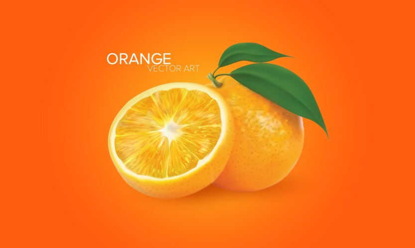 Realistic orange juice crown Royalty Free Vector Image