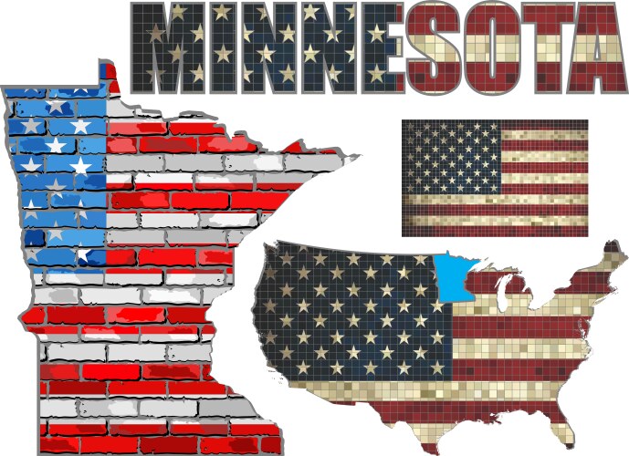 Minnesota Flag on Brick Wall Vector Image