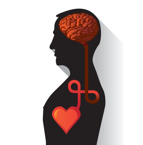 Brain Royalty Free Vector Image - VectorStock