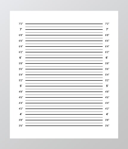 Identification frame for crime arrest wall Vector Image