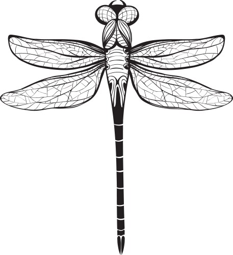 Free Insect Wing Pattern Svg Hand drawn of dragonfly in entangle style – Royalty-Free Vector ...