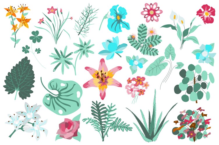 flower and plants isolated set bundle floral vector image