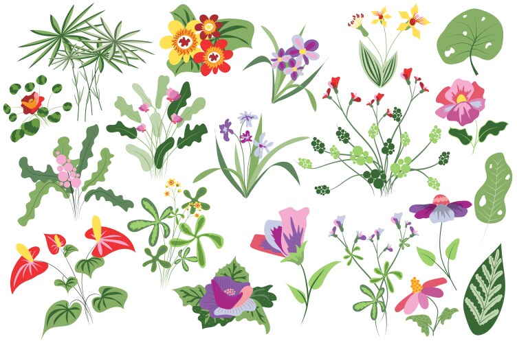 Floral Botanical Set - Wildflowers & Foliage Vector Image