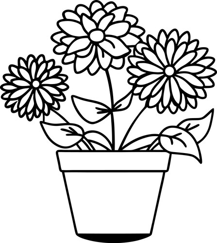Three Detailed Floral Line Art Vector Image