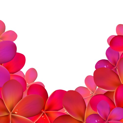 Sand background with frangipani Royalty Free Vector Image