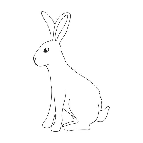 Rabbit outline icon (40956842) – Royalty-Free Vector | VectorStock