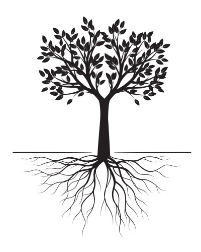 Wild plants with roots Royalty Free Vector Image
