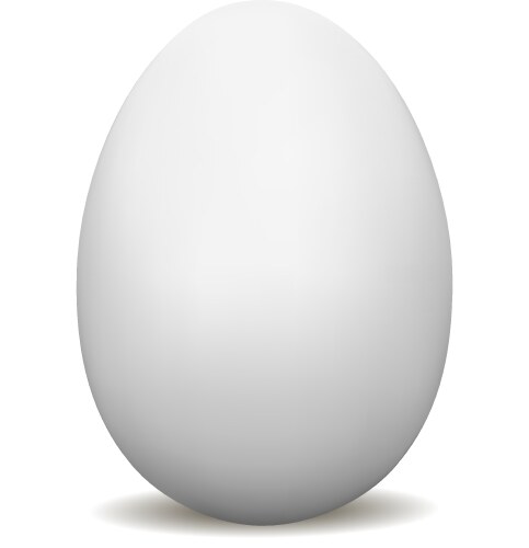 White egg mock up isolated vector image