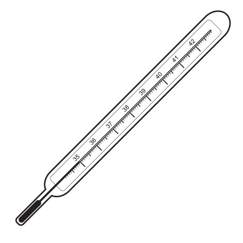 Clinical thermometer vector image