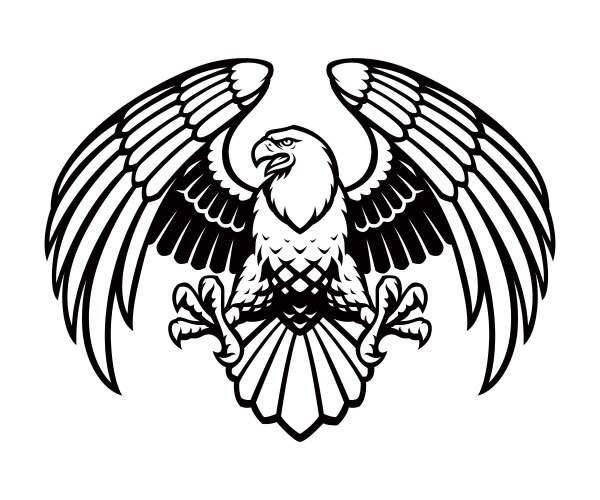 Eagle head line art Royalty Free Vector Image - VectorStock