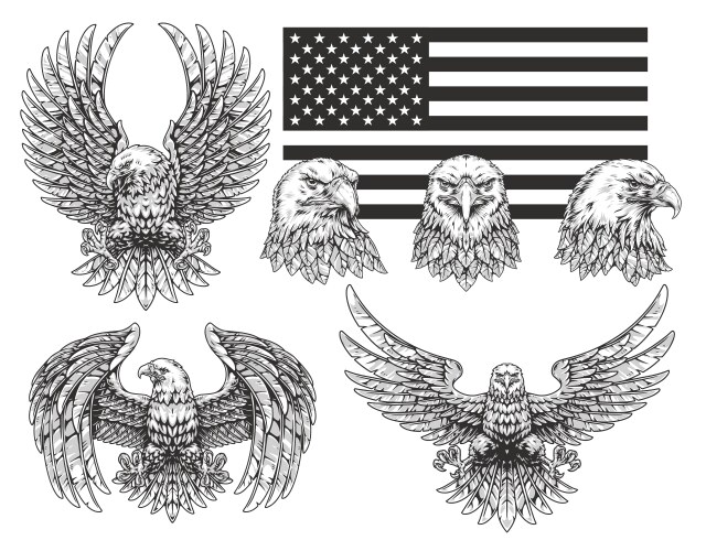 American Dollar Eagle Royalty Free Vector Image