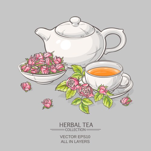 Wild rose tea on white background Royalty Free Vector Image