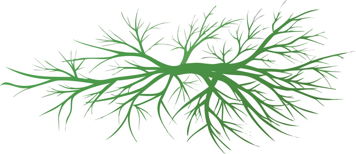 Vector Root System Root System Vector Images (over 2,700)