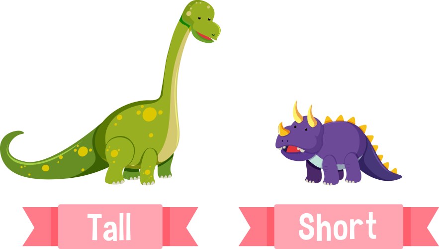 opposite english words tall and short vector image