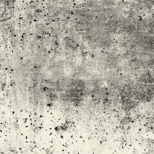 Detailed cracked grunge texture Royalty Free Vector Image