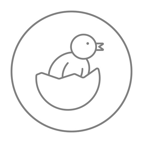 Chick Hatching from Egg Line Icon Vector Image